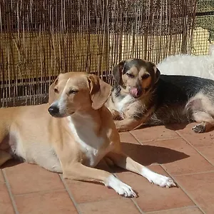 L'angolo Di Betti Rivergaro